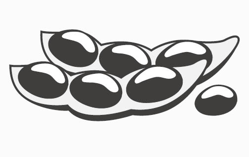 PUZO - Allergies Icon - Soy