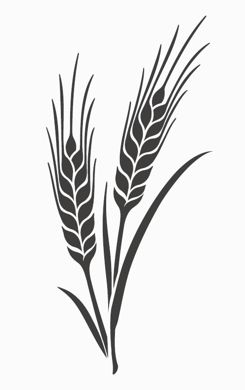 PUZO - Allergies Icon - Wheat